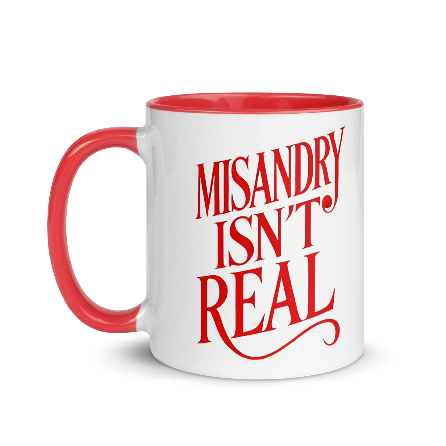 Misandry Isn't Real Mug